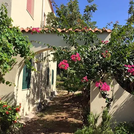 Surra Mediterranean Apartment